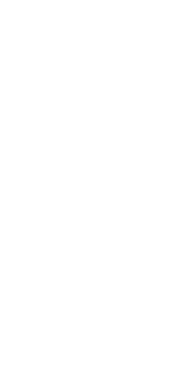 Name Namesley, rendered in terminal characters